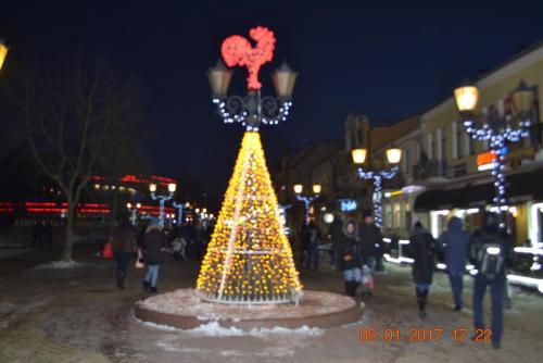 Готическое ожерелье северной Польши 800.JPG