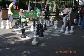 DSC_0503.jpg