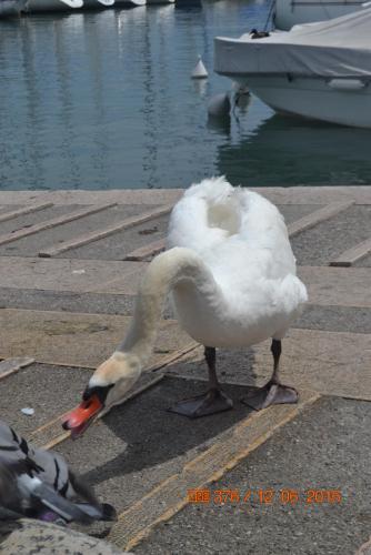 ОТПУСК 2016 1144.JPG