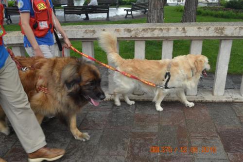 ОТПУСК 2016 1087.JPG