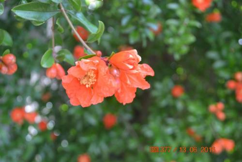 ОТПУСК 2016 1470.JPG