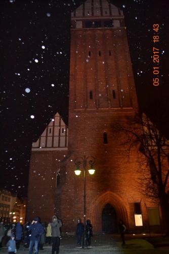 Готическое ожерелье северной Польши 519.JPG