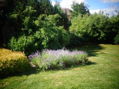 Отдых на озере Липно 2017г 189.JPG