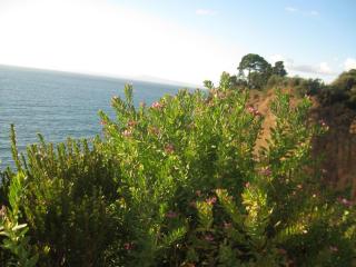 IMG_6669.JPG