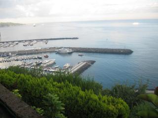 IMG_6585.JPG