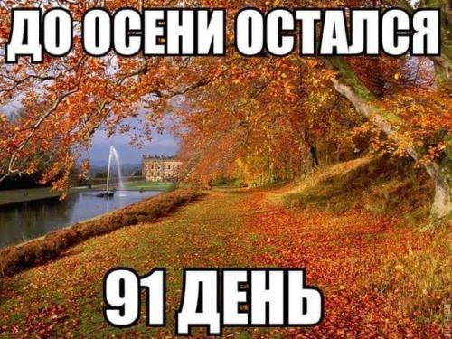 ___IMG_879773314458.jpeg