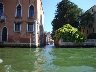 DSC02569.JPG