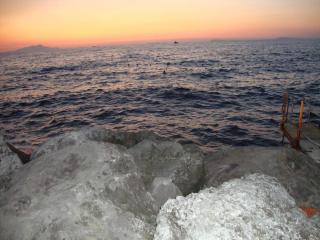DSC02598.JPG