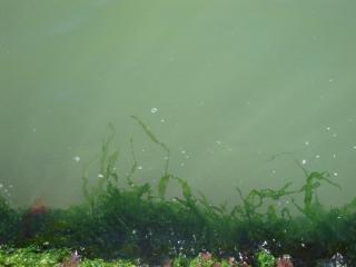 DSC02544.JPG