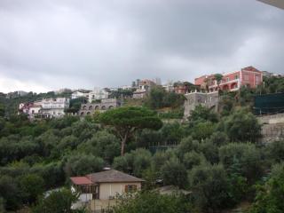 DSC02952.JPG