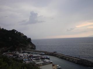 DSC02953.JPG