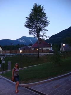 DSC02479.JPG