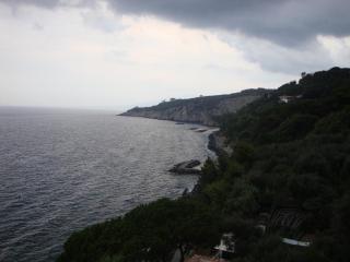 DSC02951.JPG