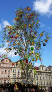 20140416_111704.jpg