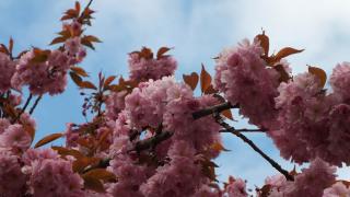 DSCF3010.JPG