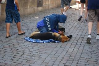DSC09454.JPG