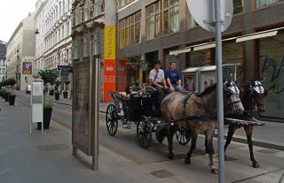 DSC07846.JPG