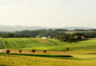 DSC07916-1.JPG
