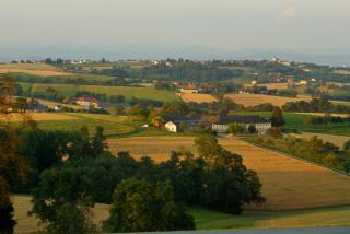 DSC07933.JPG