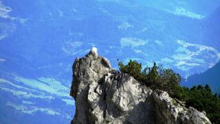 IMG_8690.JPG