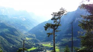 IMG_8723.JPG