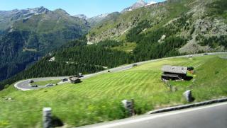 IMG_8874.JPG