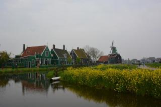 DSC_0698.JPG