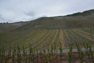DSC_0092.JPG