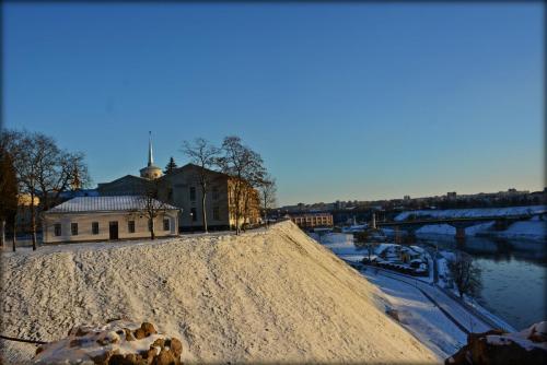 DSC_0461.jpg