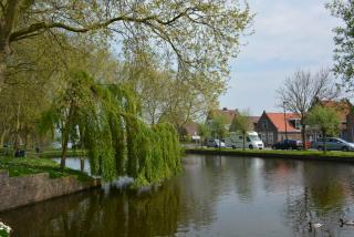 DSC_0899.JPG