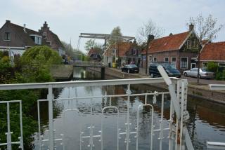 DSC_0919.JPG