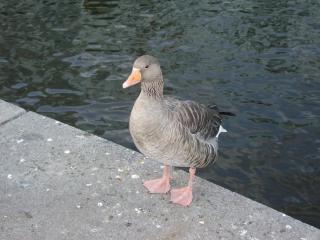 PICT3987.JPG