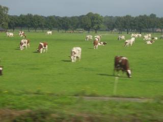 PICT4034.JPG