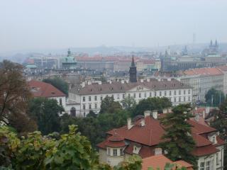 DSC06475.JPG