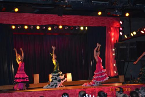 DSC_0713.JPG