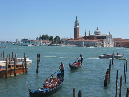 IMG_1241.JPG