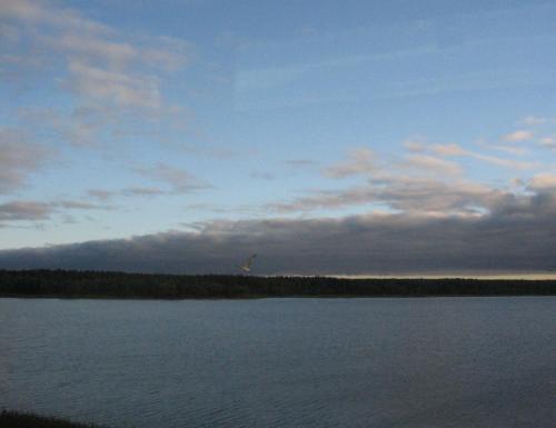 IMG_4132 изм 3.jpg
