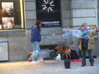 DSCF0836.JPG