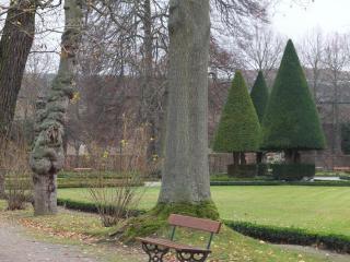 DSCF1087.JPG
