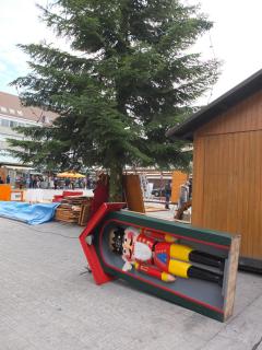DSCF1180.JPG