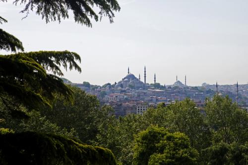 82.jpg
