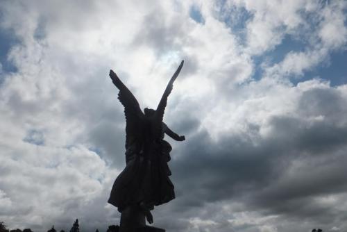 DSCF3939.JPG