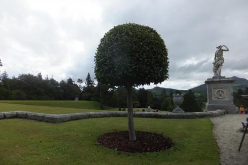 DSCF3882.JPG