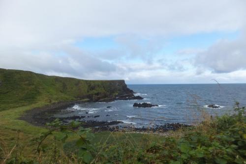 DSCF4042.JPG