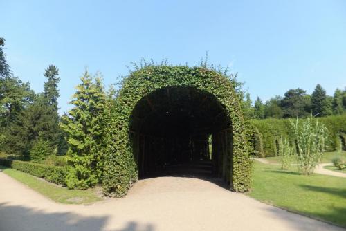 DSCF3247.JPG