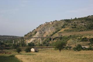 IMG_0342.JPG