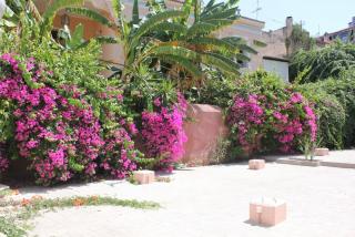 IMG_0760.JPG