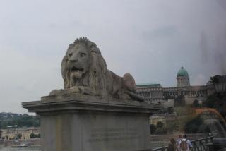 IMG_0116.JPG