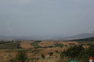 IMG_0331.JPG