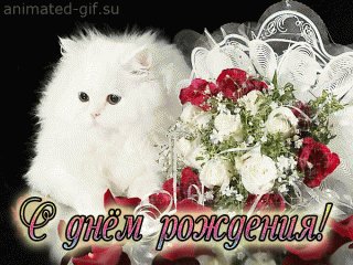 bd553101c8d6.gif